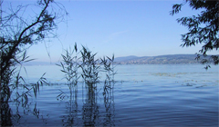 Natur Region Zürichsee